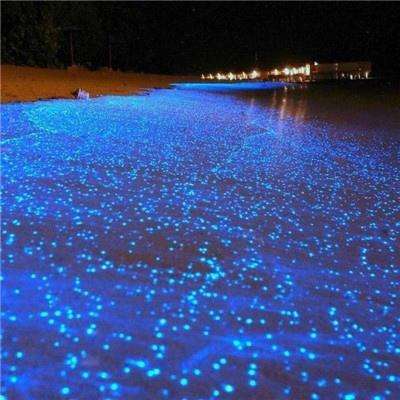 网易流星蝴蝶剑手游下载